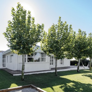 77A AMPLIACION PARCUELLOS (17)