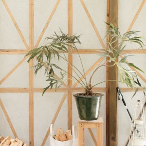 13 CABAÑA MI CIELO (7)