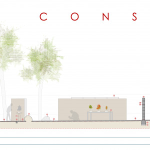 118A CONCURSO BONSAI PLANO (10)