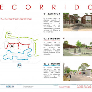 118A CONCURSO BONSAI PLANO (7)