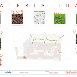 118A CONCURSO BONSAI PLANO (9)
