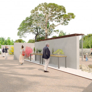 118A MUSEO BONSAI (1)