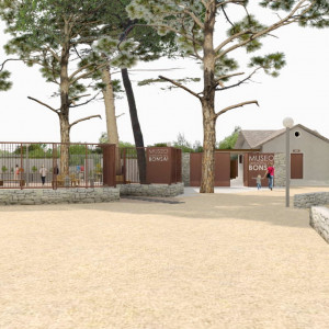 118A MUSEO BONSAI (10)