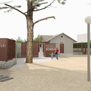 118A MUSEO BONSAI (11)