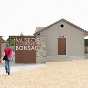 118A MUSEO BONSAI (12)