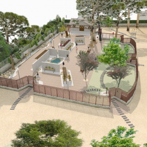 118A MUSEO BONSAI (14)