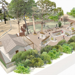 118A MUSEO BONSAI (15)