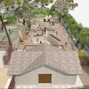 118A MUSEO BONSAI (16)