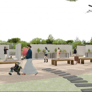 118A MUSEO BONSAI (3)