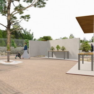 118A MUSEO BONSAI (7)