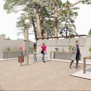 118A MUSEO BONSAI (8)