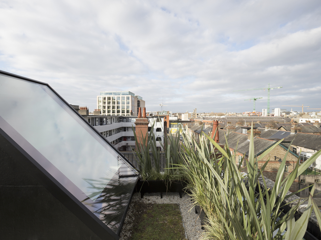 CASA SMITHFIELD (17)