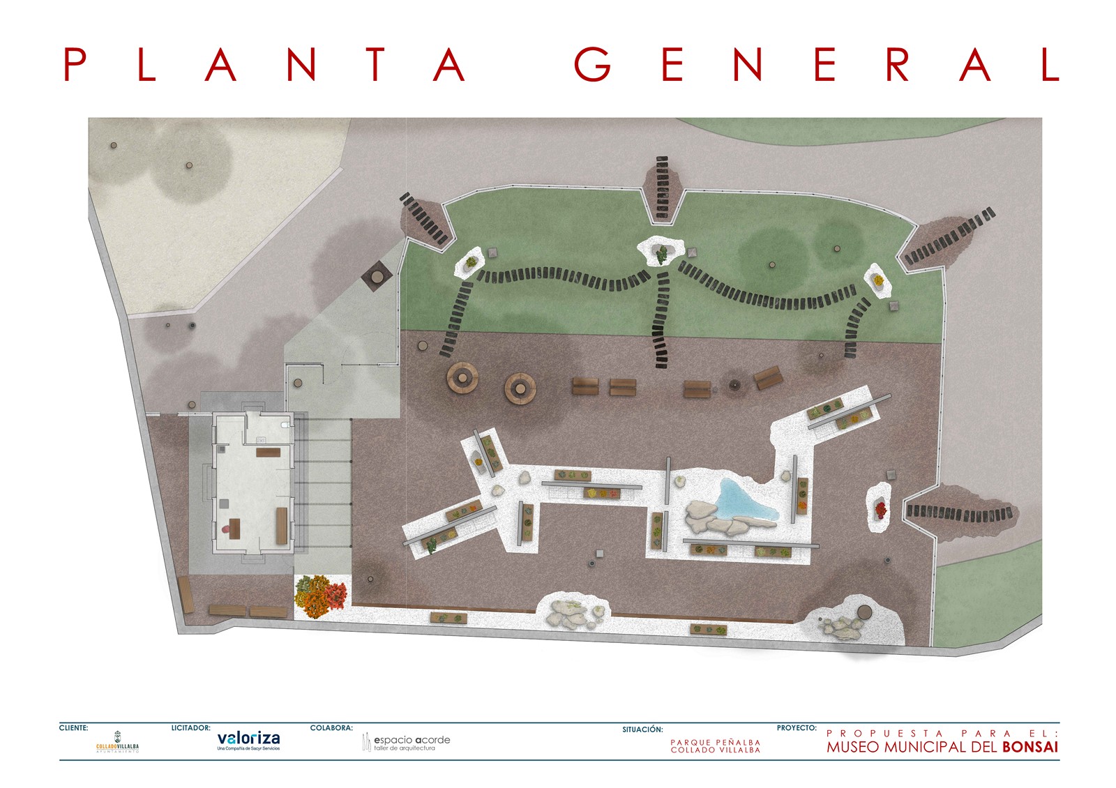 Plano renderizado de la planta general y propuesta paisajística para el Museo Municipal del Bonsái en el Parque Peñalba de Collado Villalba, mostrando la zonificación de pavimentos, estanques y áreas verdes