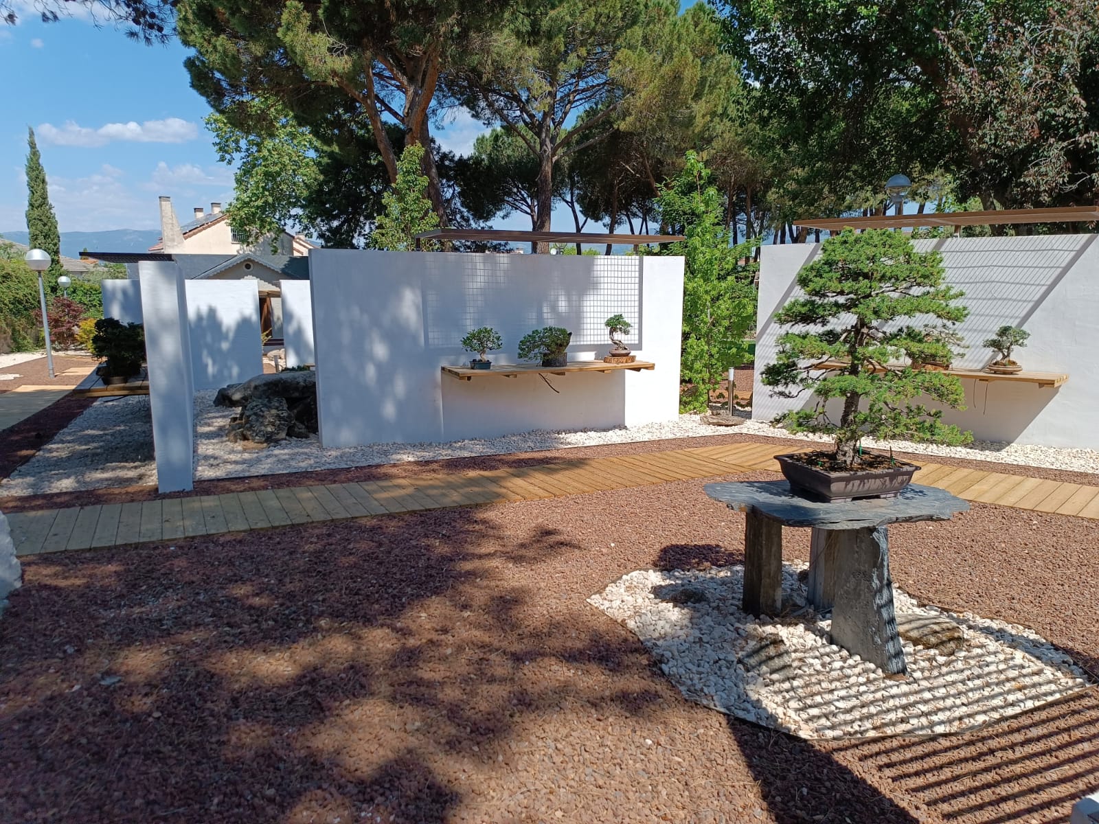 Patio de exposición exterior terminado en el Museo Municipal del Bonsái en Collado Villalba, mostrando los expositores de pizarra y madera, los lienzos de muros blancos, la grava volcánica y el pavimentado de madera