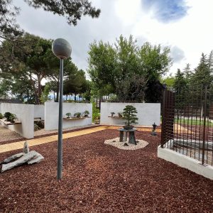 Vista panorámica del jardín exterior del Museo Municipal del Bonsái en Collado Villalba, mostrando la interacción entre las pasarelas de madera, el pavimento de corteza, los muros de exposición blancos y el vallado perimetral