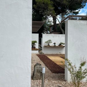 Fotografía de los patios exteriores del Museo del Bonsái en Collado Villalba, mostrando la transición entre muros blancos enfoscados, pasarelas de madera, grava decorativa y peanas de exposición
