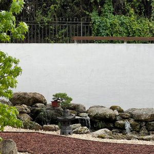 Estanque con cascada de piedra natural, linterna de piedra de estilo japonés y un bonsái pequeño integrados frente a un muro blanco enfoscado en el Museo Municipal del Bonsái en Collado Villalba, diseñado por Espacio Acorde.