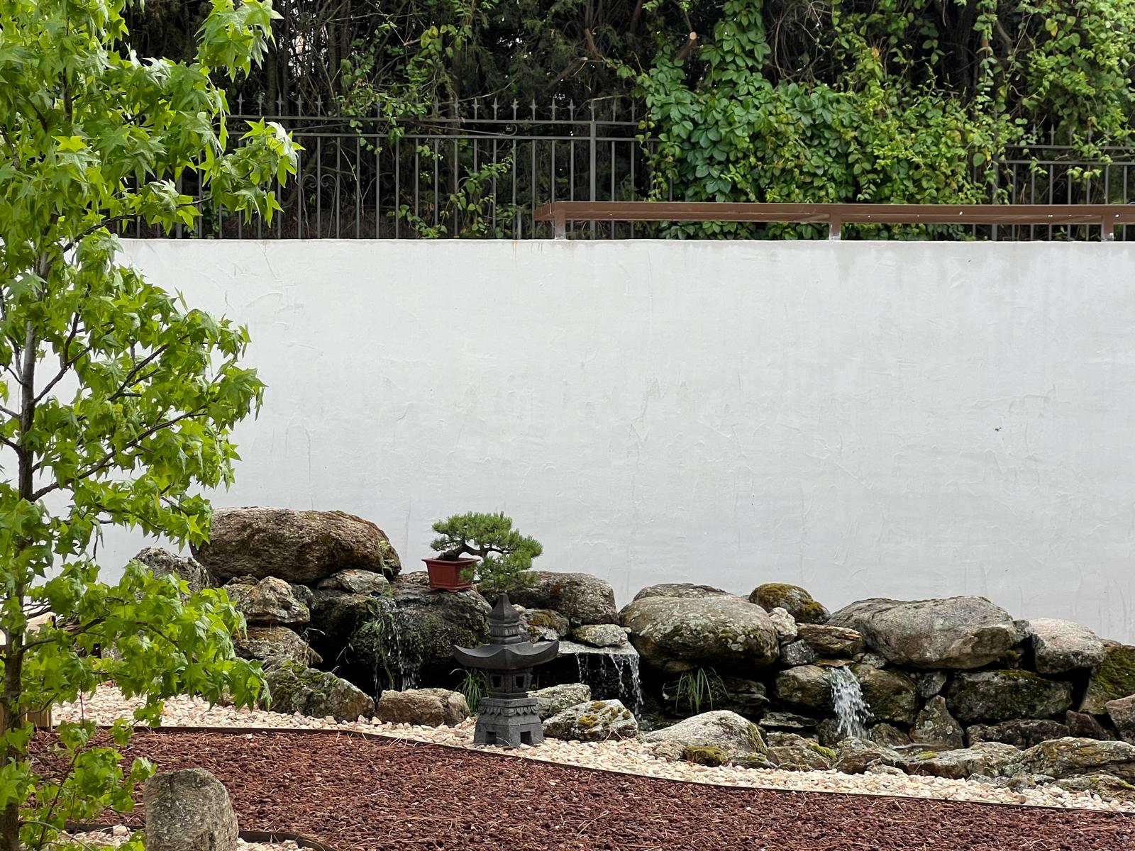 Estanque con cascada de piedra natural, linterna de piedra de estilo japonés y un bonsái pequeño integrados frente a un muro blanco enfoscado en el Museo Municipal del Bonsái en Collado Villalba, diseñado por Espacio Acorde.