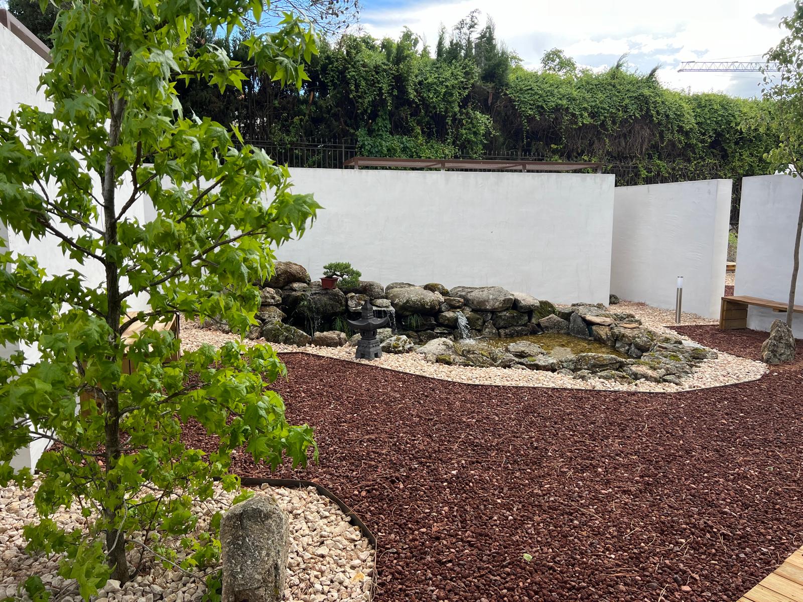 estanque con cascada de piedra natural, linterna de jardín zen de estilo japonés y un árbol joven integrados sobre grava volcánica y blanca frente a muros limpios en el Museo del Bonsái de Collado Villalba, diseñado por Espacio Acorde.