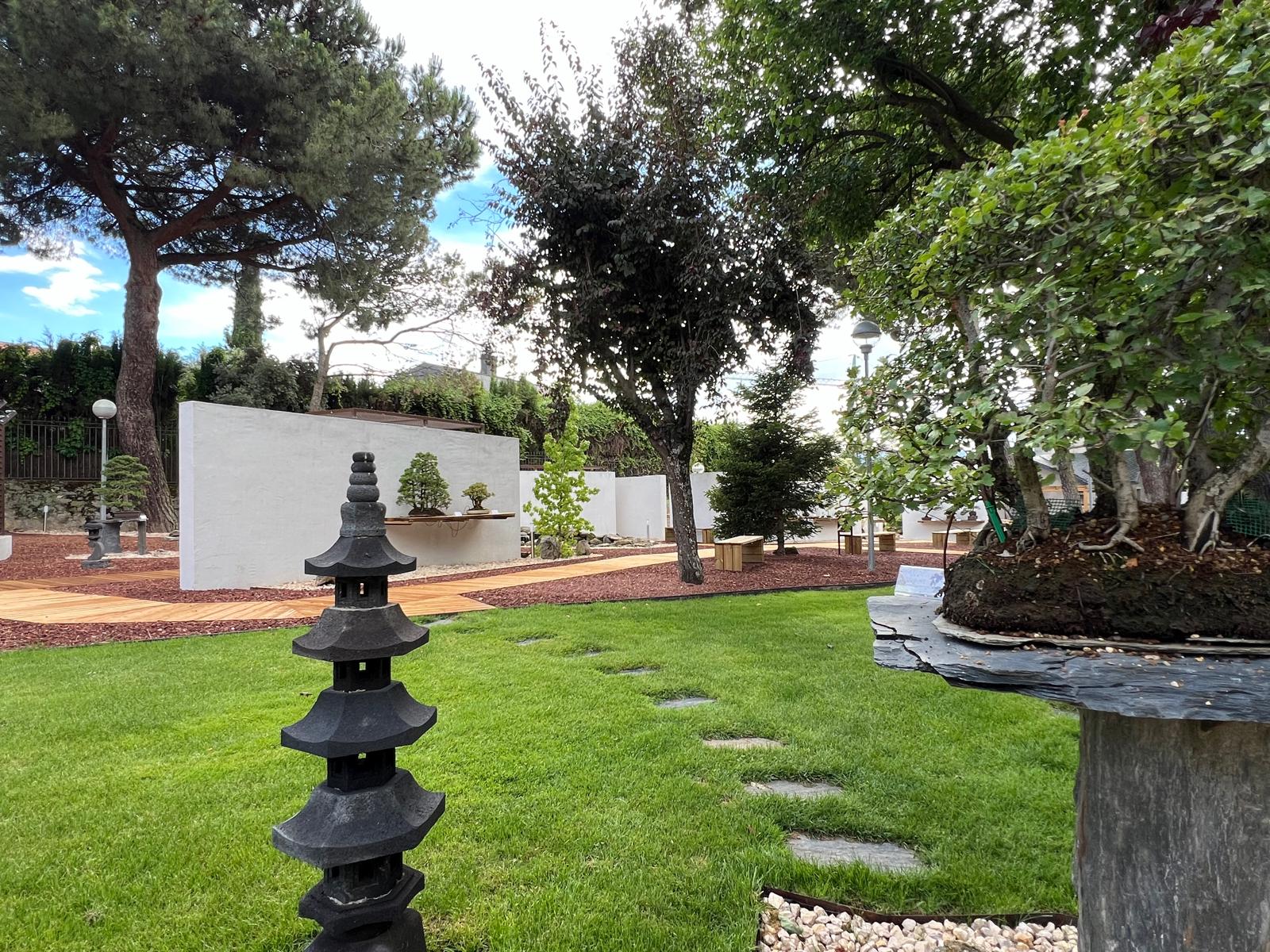 jardín de inspiración japonesa con una linterna pagoda de piedra tallada sobre el césped, un sendero de losas naturales y un bonsái en pedestal de pizarra ante muros blancos en el Museo del Bonsái de Collado Villalba, diseñado por Espacio Acorde.