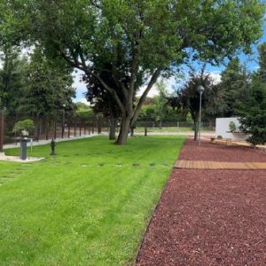 Fotografía panorámica de la entrada principal al Museo Municipal del Bonsái en Collado Villalba, mostrando la integración del vallado de acero corten y mampostería con el arbolado preexistente