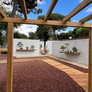 recorrido expositivo exterior del Museo del Bonsái en Villalba, mostrando la relación entre los muros limpios, los pedestales de piedra y la vegetación