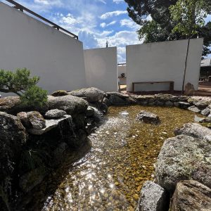 Estanque de piedra natural con cascada y fondo de grava, mostrando reflejos del sol junto a un bonsái pequeño sobre rocas y muros blancos exentos en el Museo del Bonsái, diseñado por Espacio Acorde.