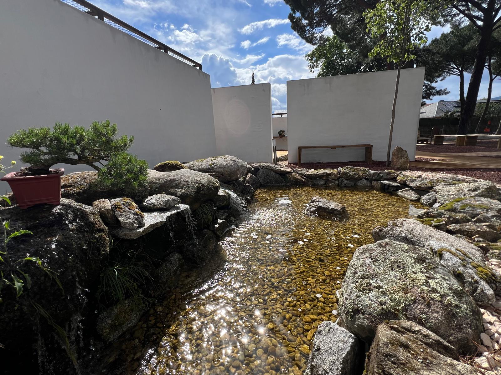 Estanque de piedra natural con cascada y fondo de grava, mostrando reflejos del sol junto a un bonsái pequeño sobre rocas y muros blancos exentos en el Museo del Bonsái, diseñado por Espacio Acorde.