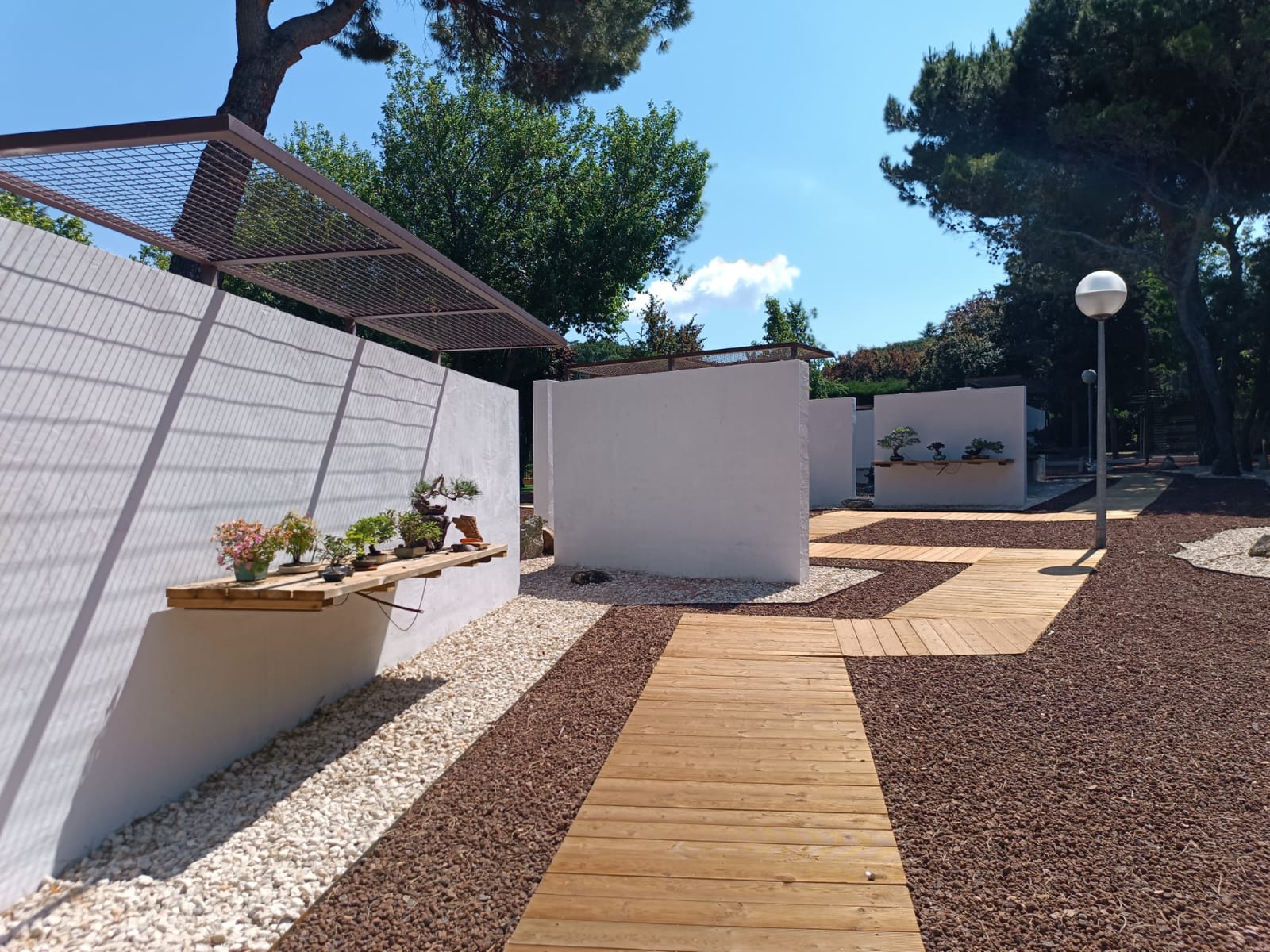 Pasarelas de madera y zonas de exposición del Museo Municipal del Bonsái en Collado Villalba, mostrando la integración de muros blancos, pérgolas de sombreado y pavimentos de grava volcánica, diseñado por Espacio Acorde.