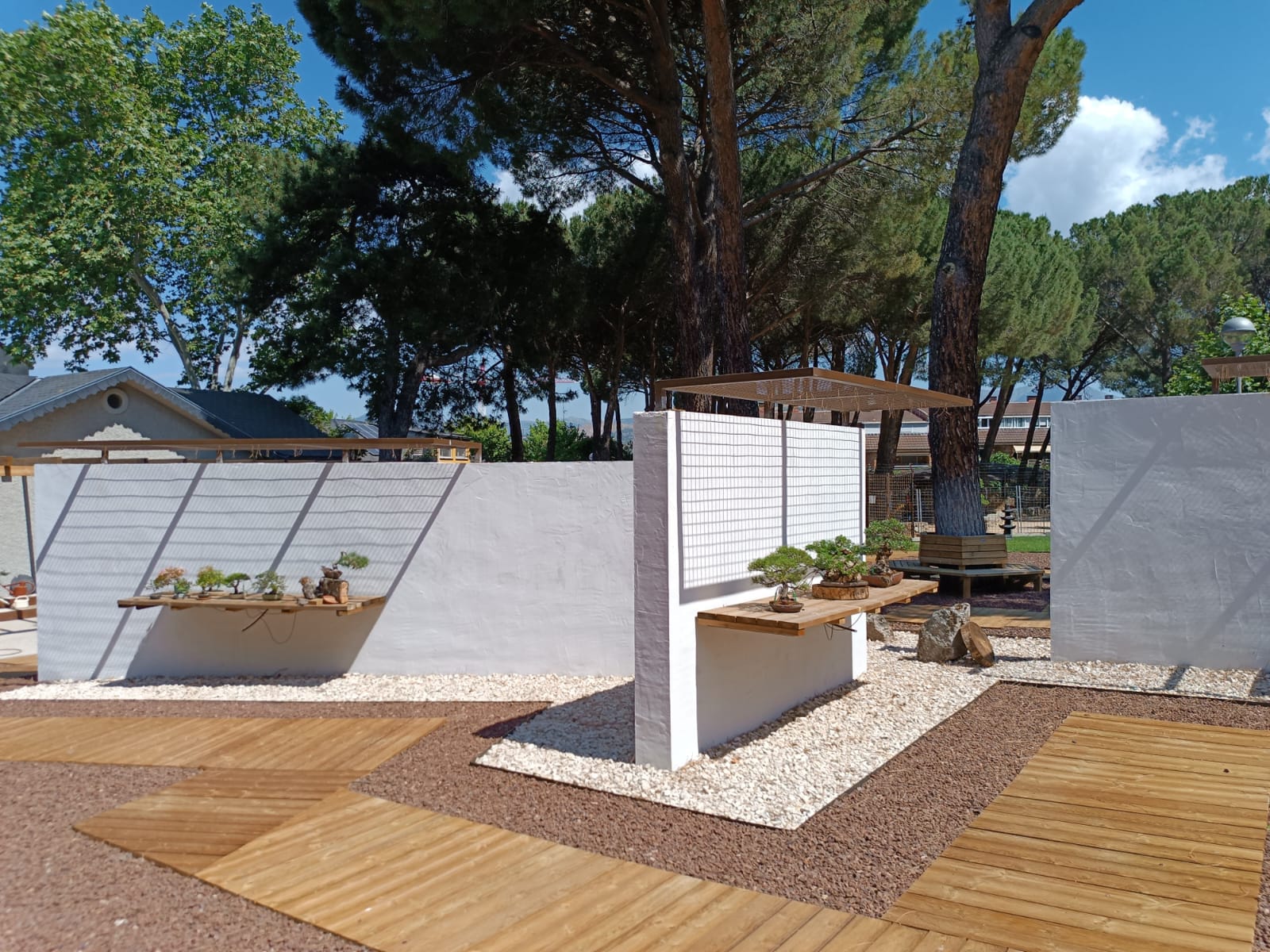 expositores de madera integrados en muros blancos sobre lecho de grava y pasarelas de madera en el Museo Municipal del Bonsái en Collado Villalba, diseñado por Espacio Acorde.