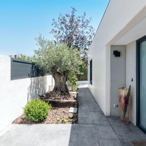 Entrada peatonal principal de una vivienda unifamiliar de obra nueva en Madrid con olivo centenario enmarcado en madera, fachada blanca y puerta gris grafito.