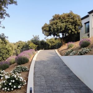 Vista ascendente de la rampa de acceso a vivienda unifamiliar en El Escorial (Madrid), pavimentada con adoquín gris, flanqueada por muro de contención blanco y taludes ajardinados con lavandas en torno a una encina , por Espacio Acorde.